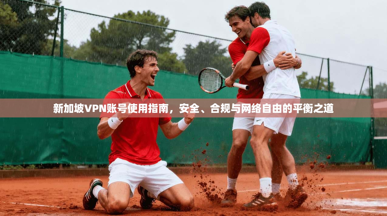 新加坡VPN账号使用指南，安全、合规与网络自由的平衡之道