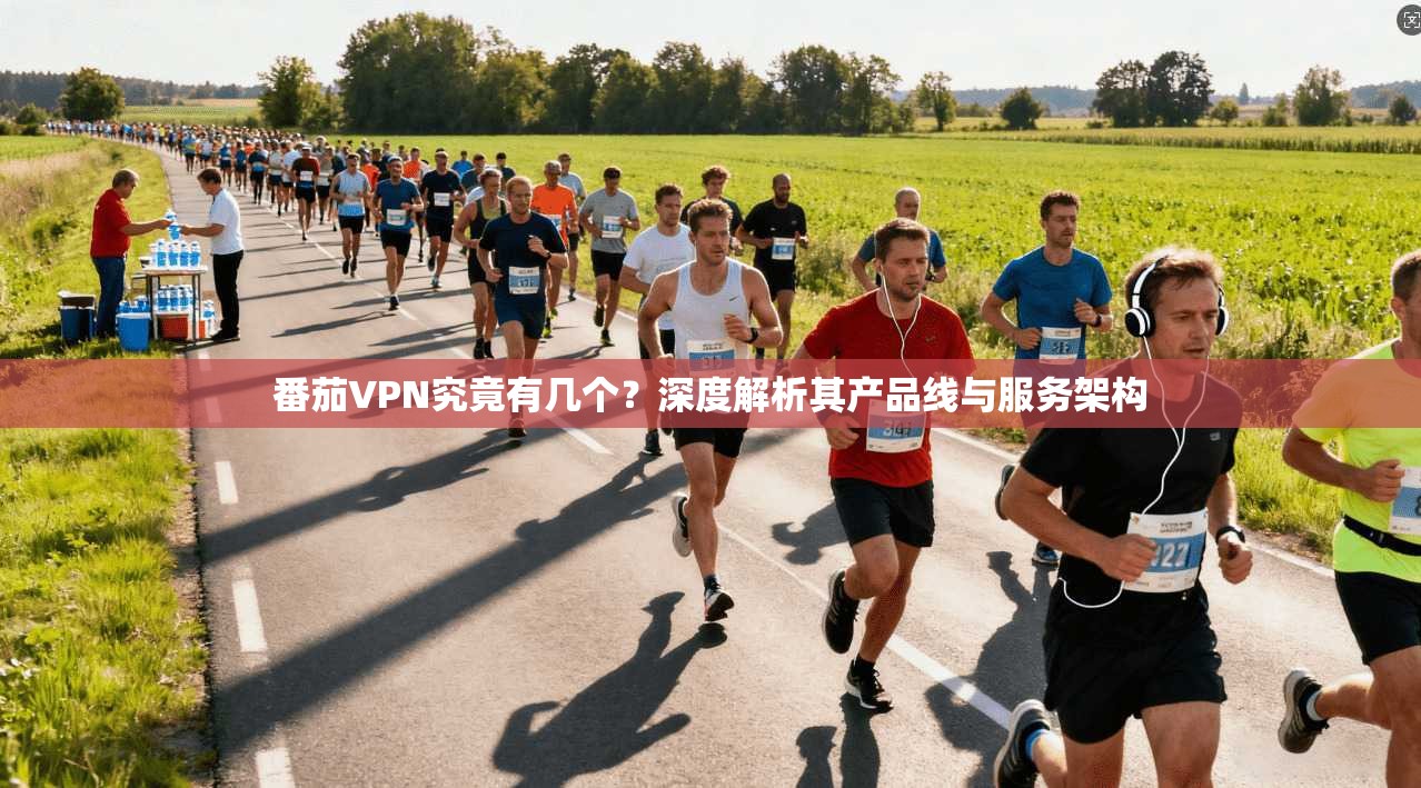 番茄VPN究竟有几个?深度解析其产品线与服务架构 番茄VPN究竟有几个?深度解析其产品线与服务架构