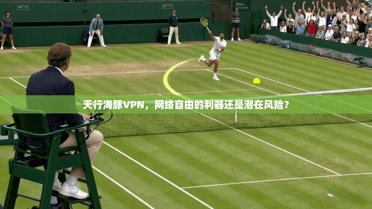 天行海豚VPN，网络自由的利器还是潜在风险？