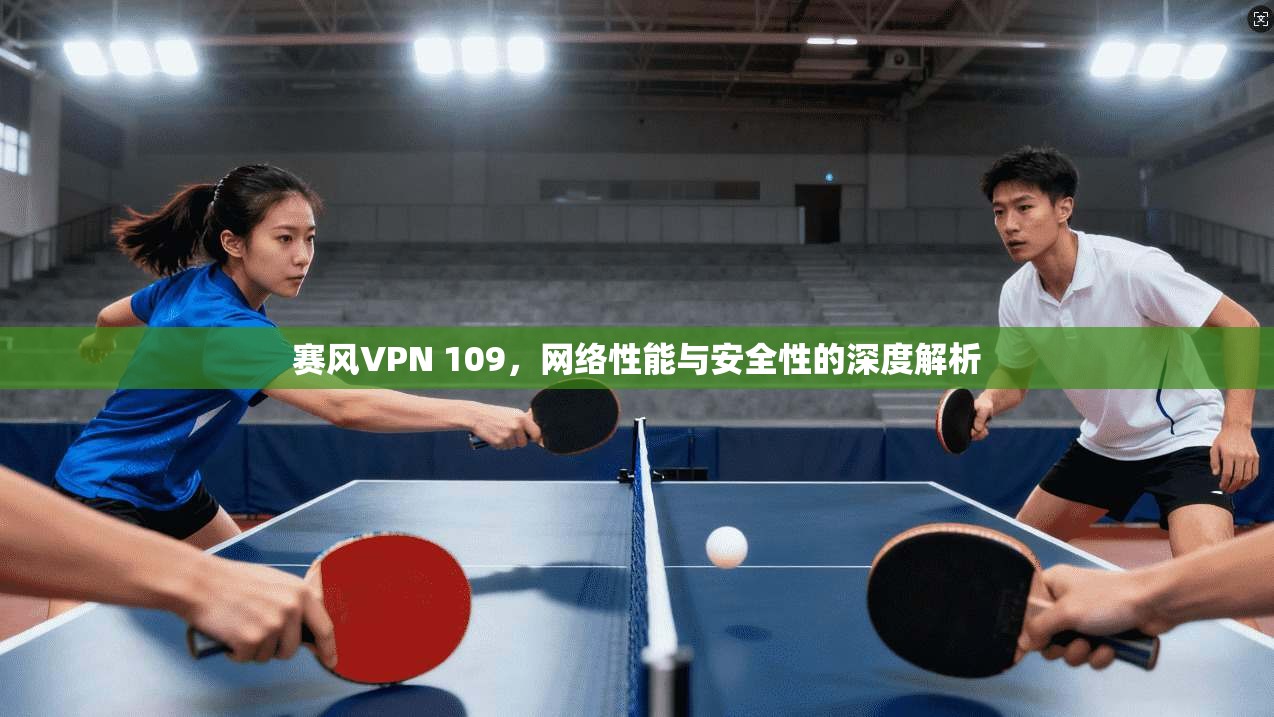 赛风VPN 109，网络性能与安全性的深度解析