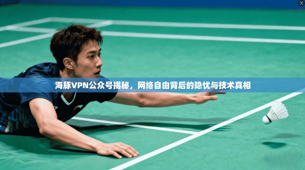 海豚VPN公众号揭秘，网络自由背后的隐忧与技术真相