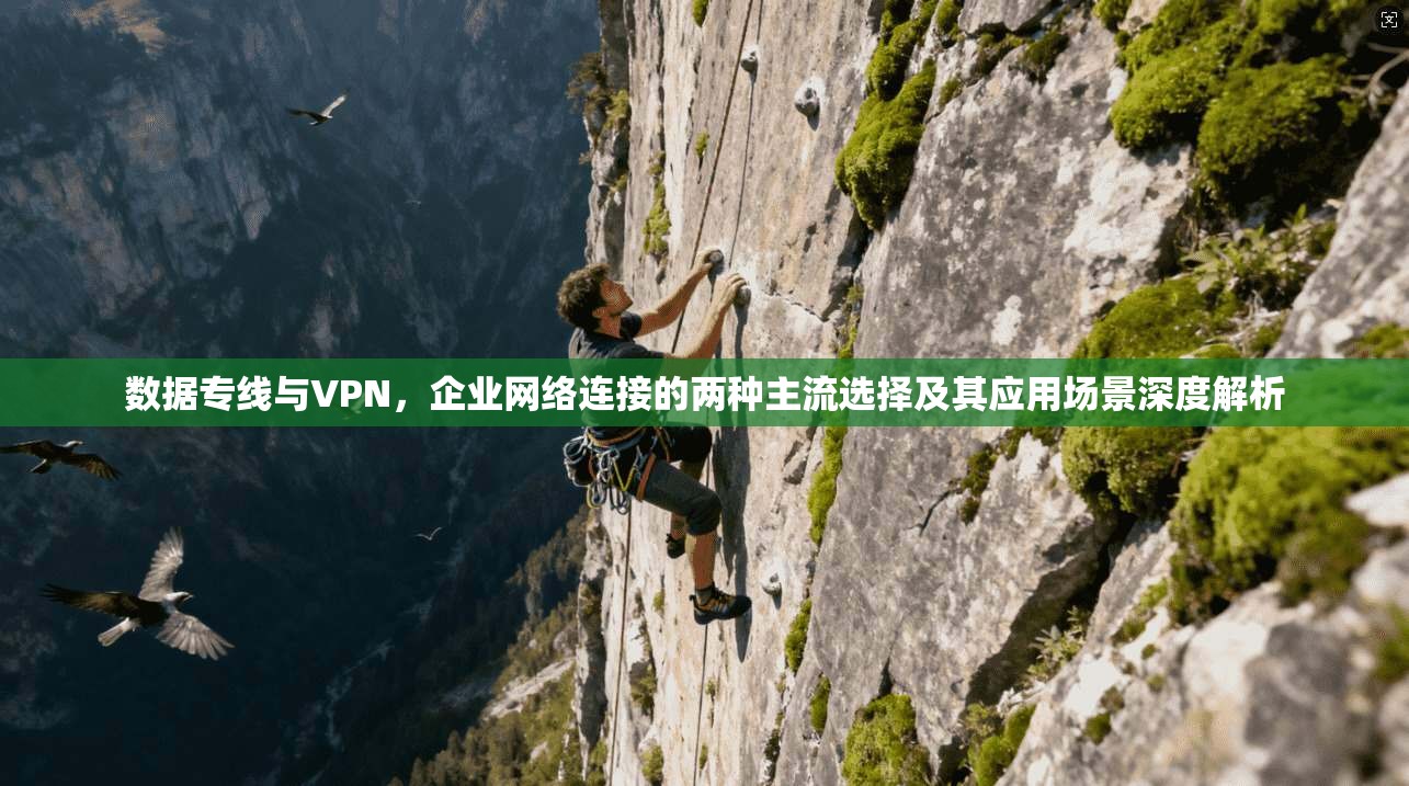 数据专线与VPN,企业网络连接的两种主流选择及其应用场景深度解析 数据专线与VPN,企业网络连接的两种主流选择及其应用场景深度解析