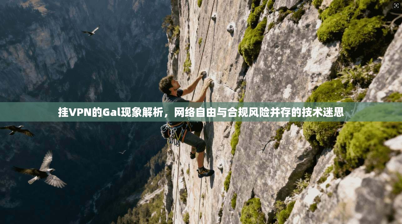 挂VPN的Gal现象解析，网络自由与合规风险并存的技术迷思