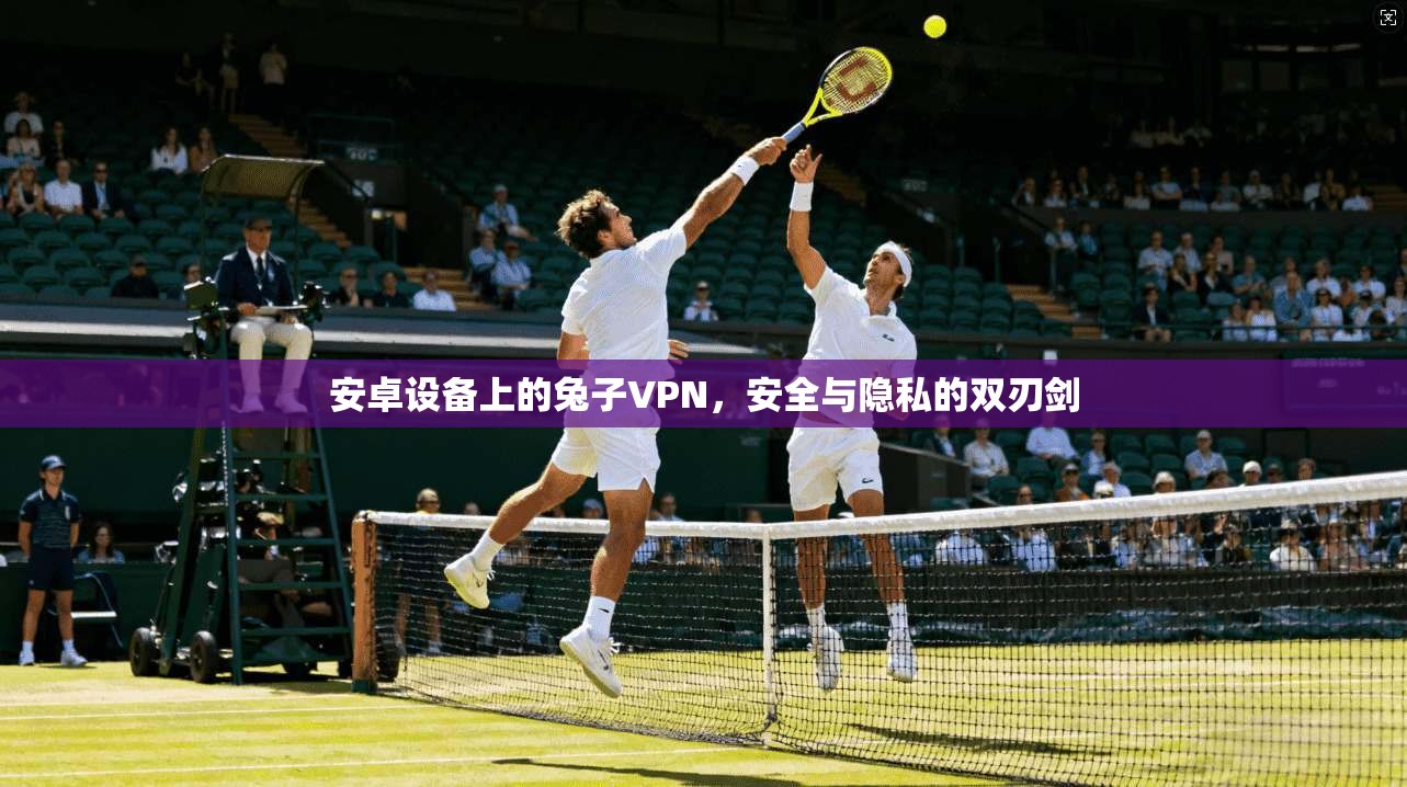 安卓设备上的兔子VPN，安全与隐私的双刃剑