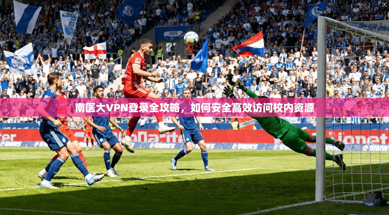 南医大VPN登录全攻略，如何安全高效访问校内资源
