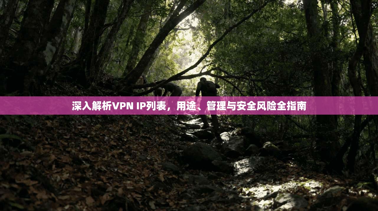 深入解析VPN IP列表，用途、管理与安全风险全指南