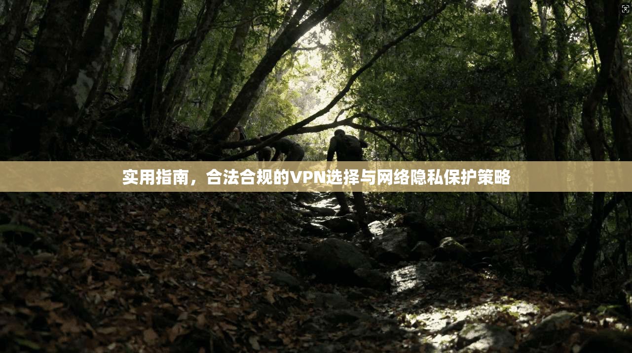 实用指南，合法合规的VPN选择与网络隐私保护策略