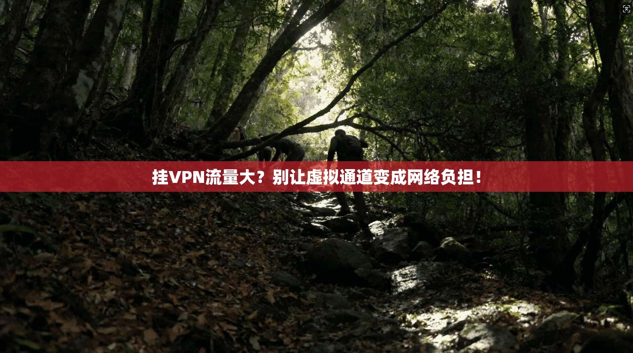 挂VPN流量大？别让虚拟通道变成网络负担！