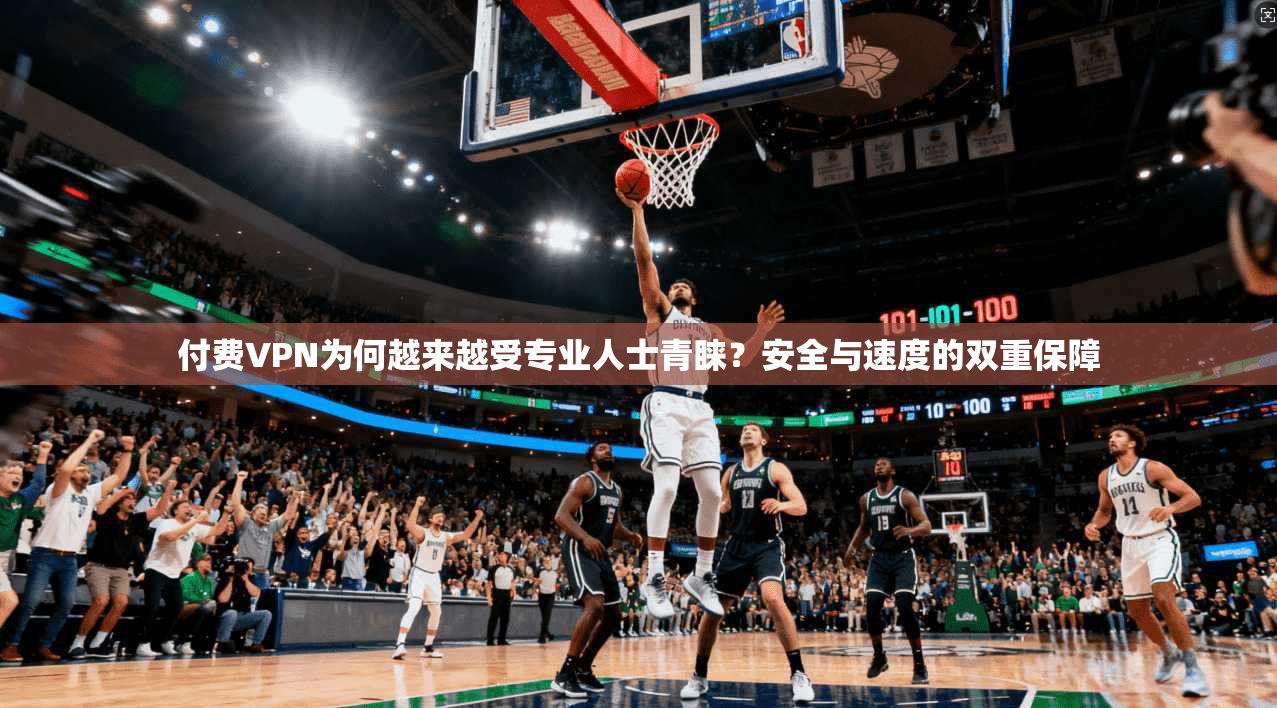 付费VPN为何越来越受专业人士青睐?安全与速度的双重保障 付费VPN为何越来越受专业人士青睐?安全与速度的双重保障