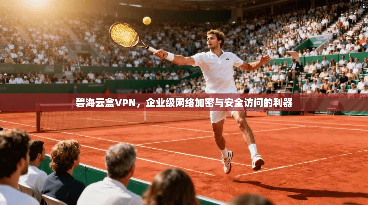 碧海云盒VPN,企业级网络加密与安全访问的利器 碧海云盒VPN,企业级网络加密与安全访问的利器