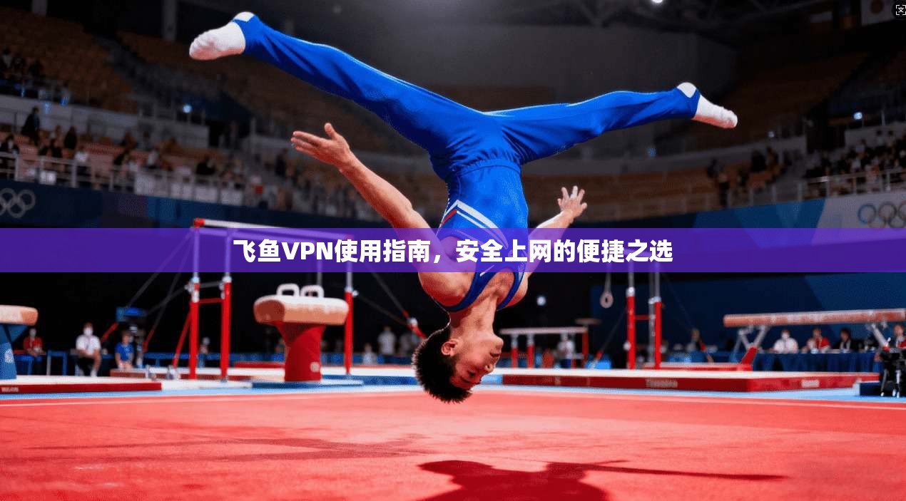 飞鱼VPN使用指南，安全上网的便捷之选