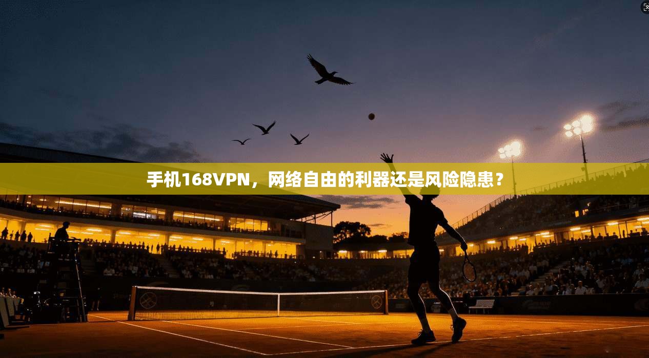 手机168VPN，网络自由的利器还是风险隐患？