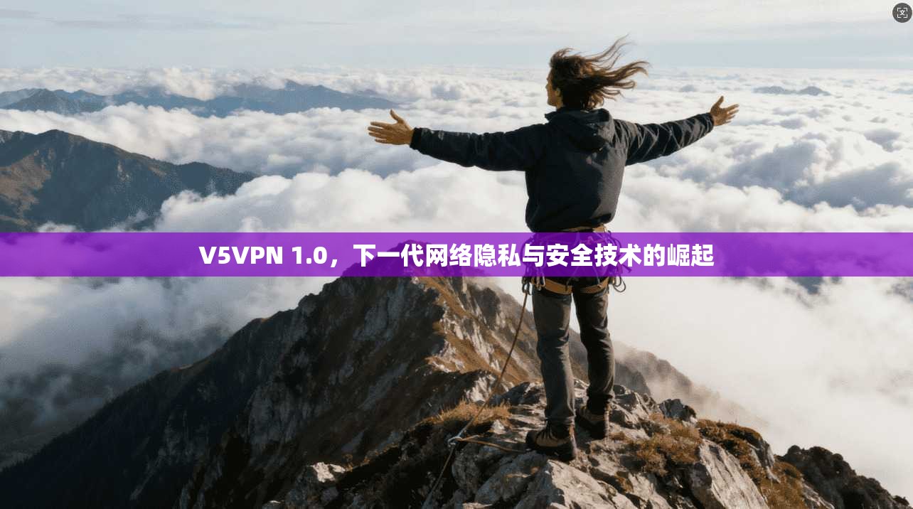 V5VPN 1.0，下一代网络隐私与安全技术的崛起