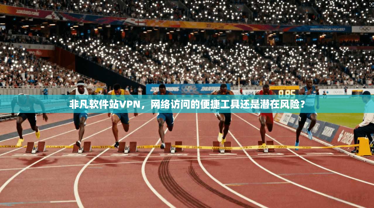 非凡软件站VPN，网络访问的便捷工具还是潜在风险？