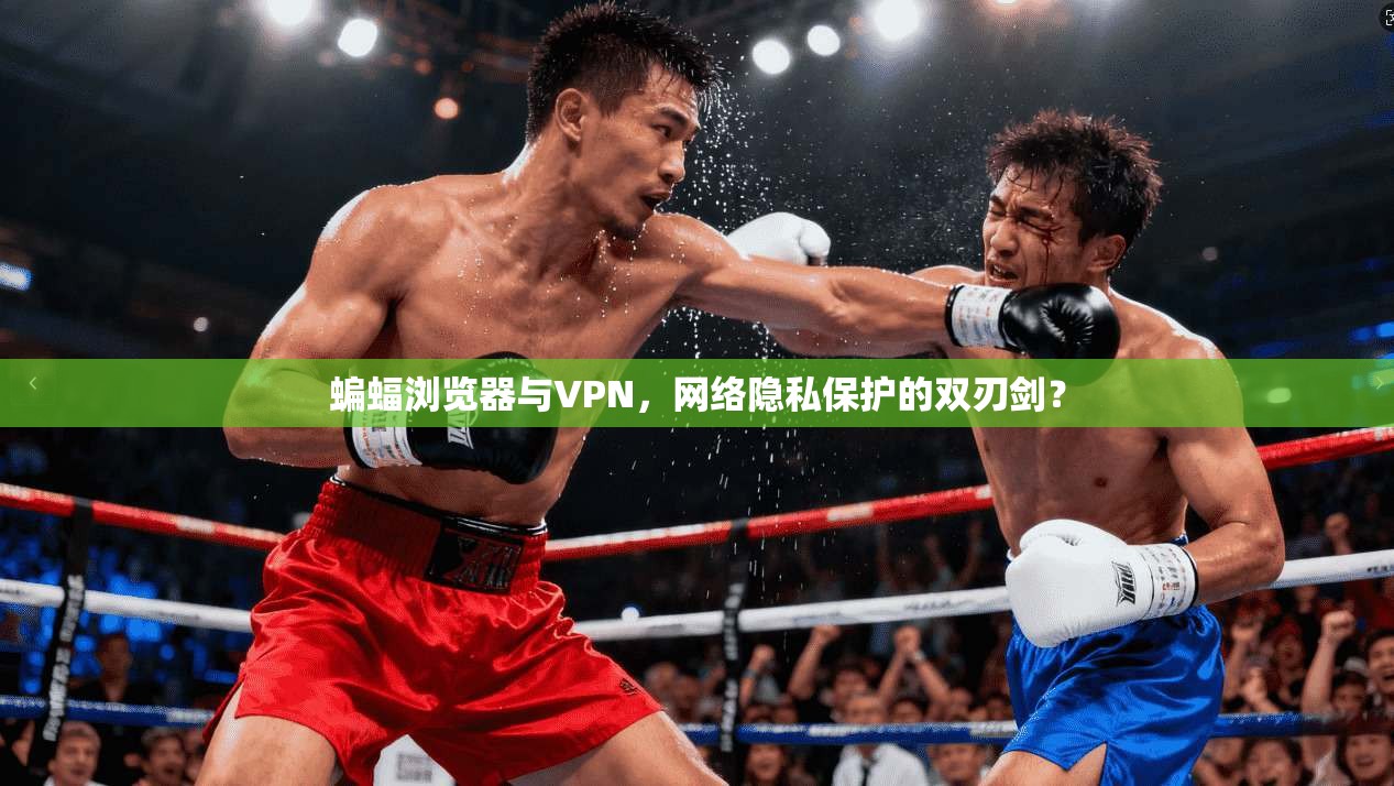 蝙蝠浏览器与VPN，网络隐私保护的双刃剑？