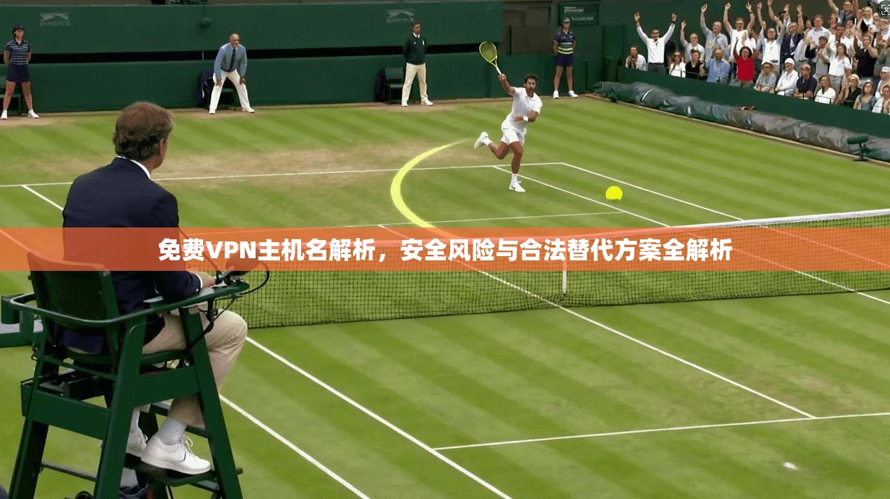 免费VPN主机名解析，安全风险与合法替代方案全解析