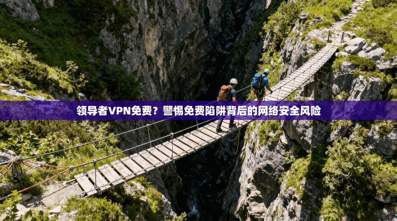 领导者VPN免费？警惕免费陷阱背后的网络安全风险