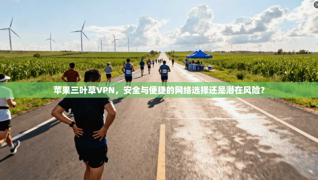 苹果三叶草VPN，安全与便捷的网络选择还是潜在风险？