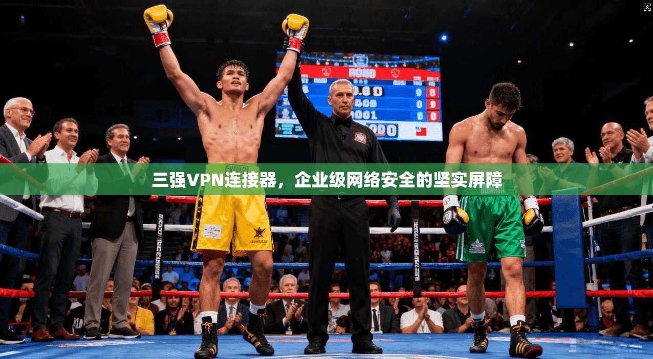 三强VPN连接器，企业级网络安全的坚实屏障