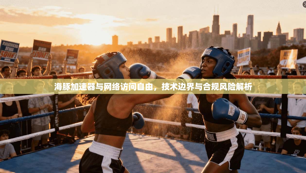 海豚加速器与网络访问自由，技术边界与合规风险解析