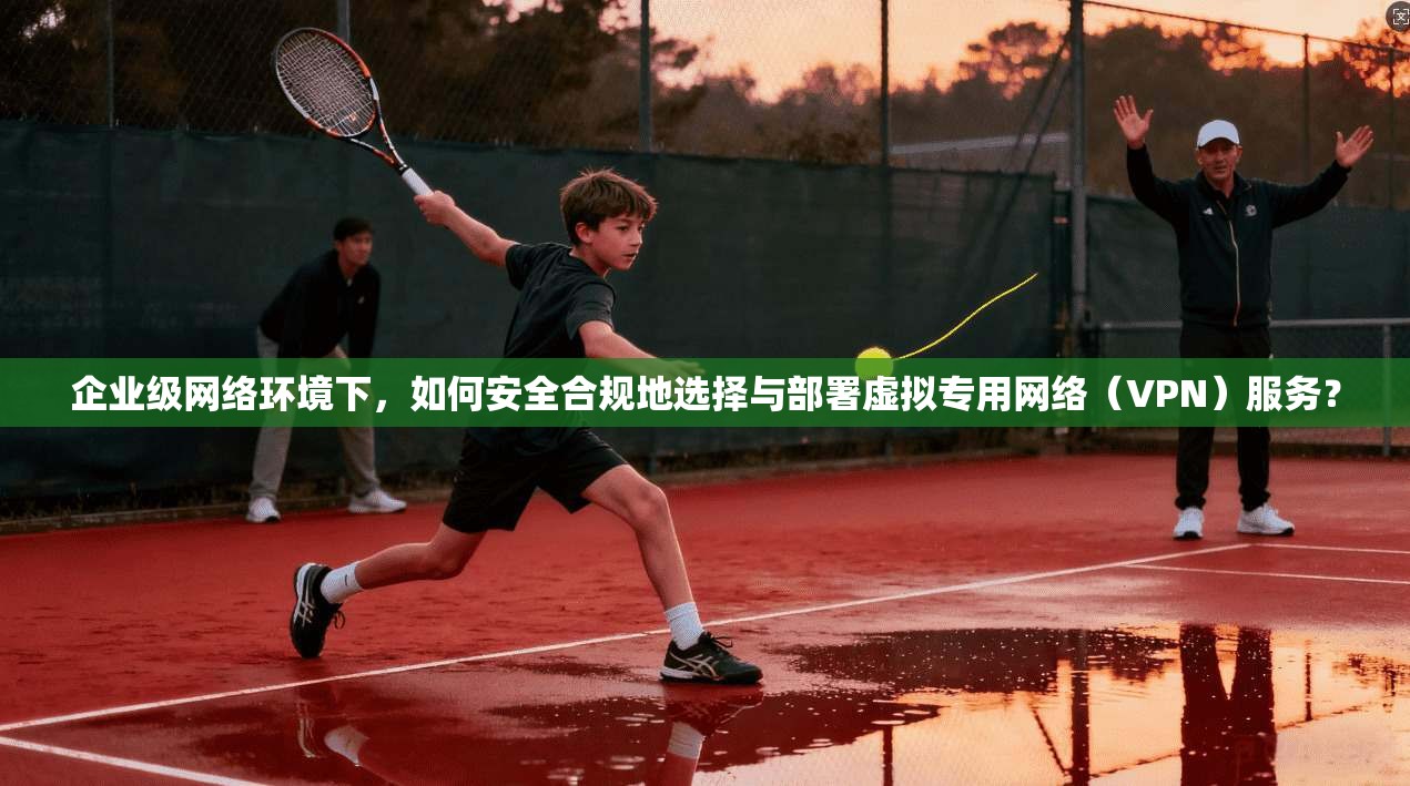 企业级网络环境下，如何安全合规地选择与部署虚拟专用网络（VPN）服务？
