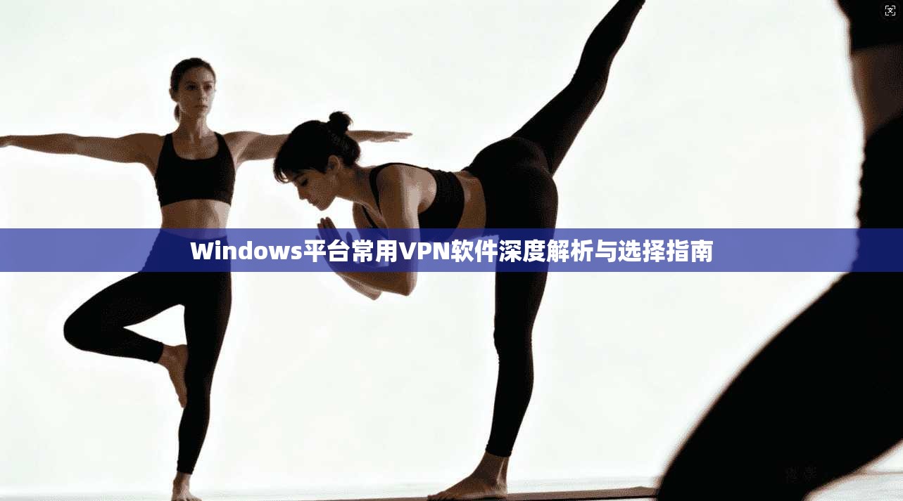 Windows平台常用VPN软件深度解析与选择指南
