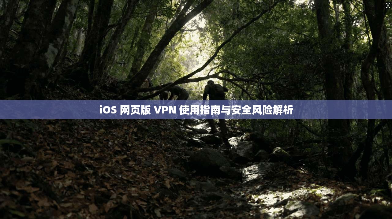 iOS 网页版 VPN 使用指南与安全风险解析
