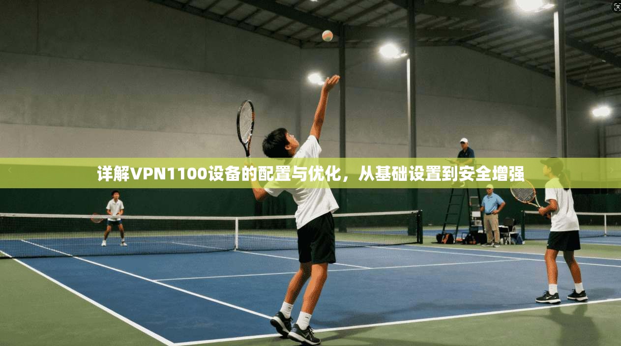 详解VPN1100设备的配置与优化，从基础设置到安全增强