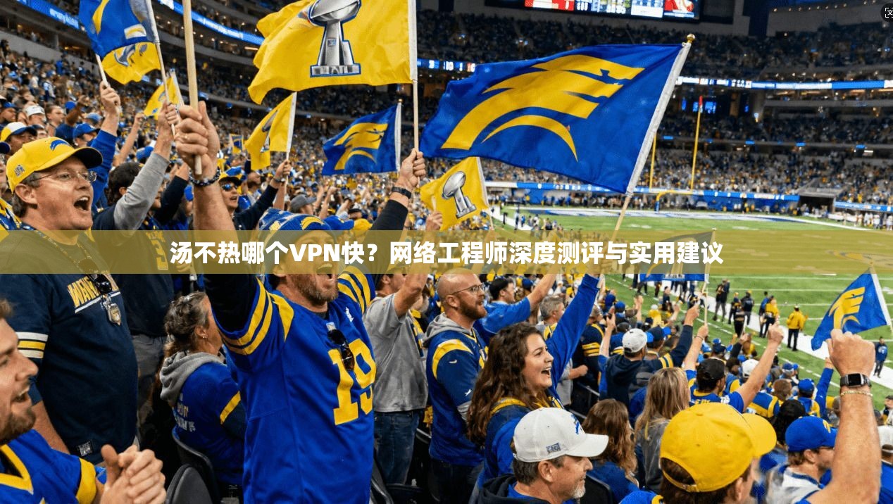 汤不热哪个VPN快？网络工程师深度测评与实用建议