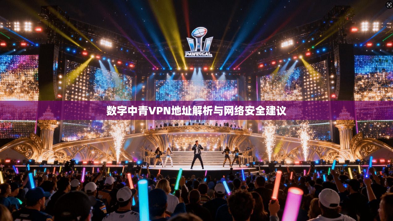数字中青VPN地址解析与网络安全建议