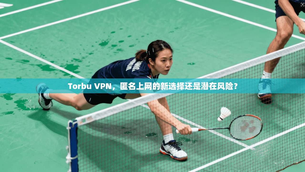 Torbu VPN，匿名上网的新选择还是潜在风险？