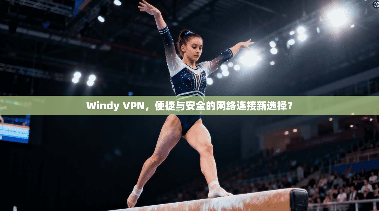 Windy VPN，便捷与安全的网络连接新选择？