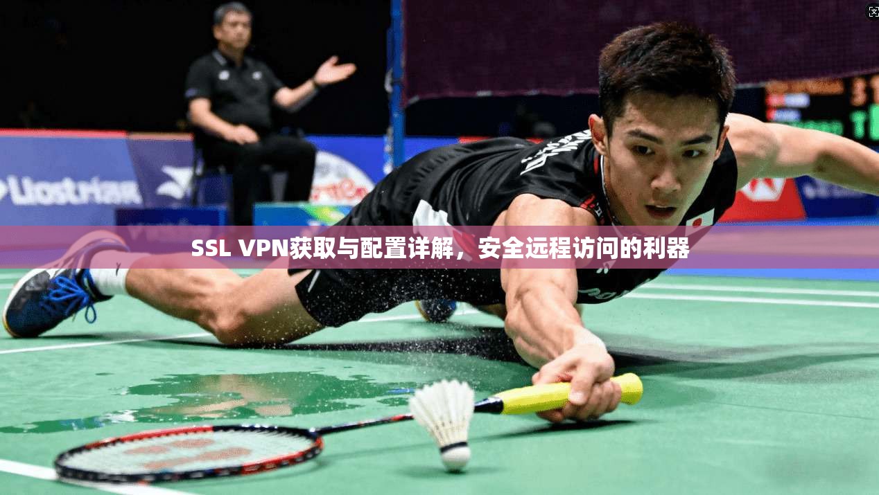 SSL VPN获取与配置详解，安全远程访问的利器