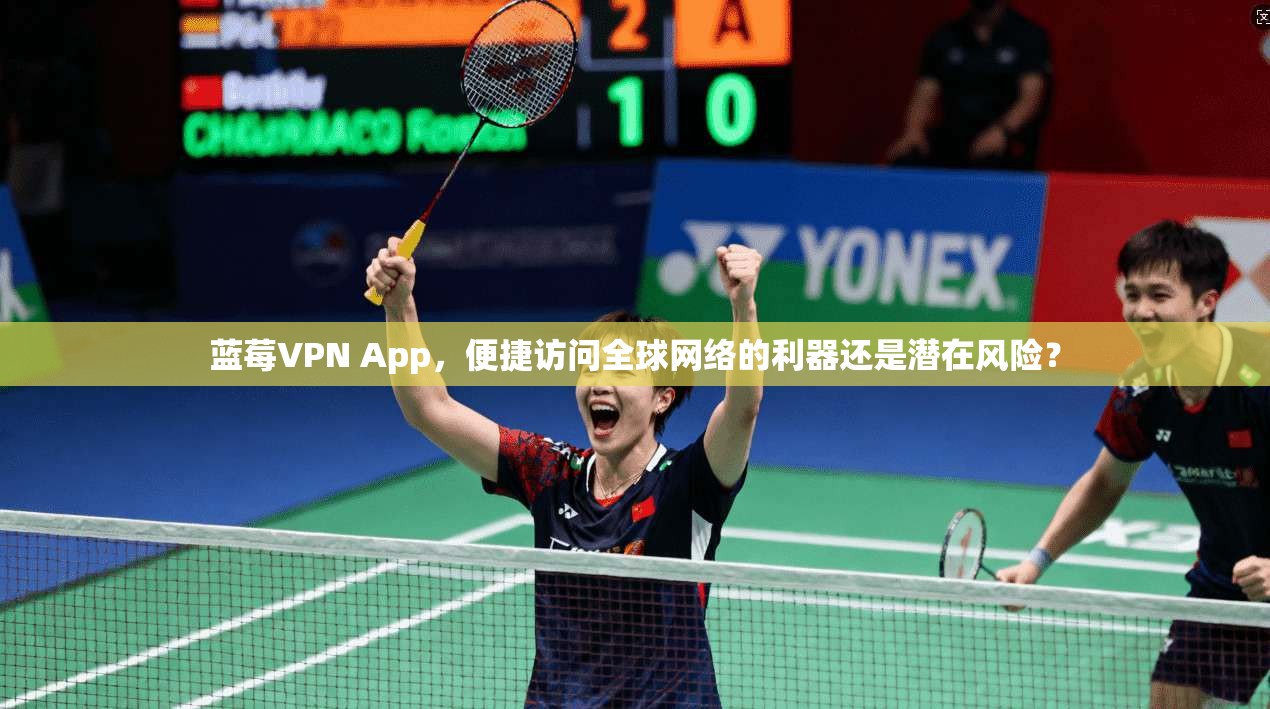 蓝莓VPN App，便捷访问全球网络的利器还是潜在风险？