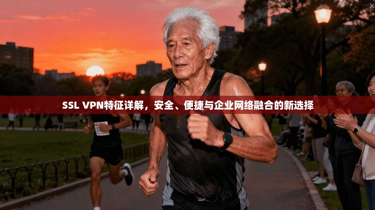 SSL VPN特征详解，安全、便捷与企业网络融合的新选择