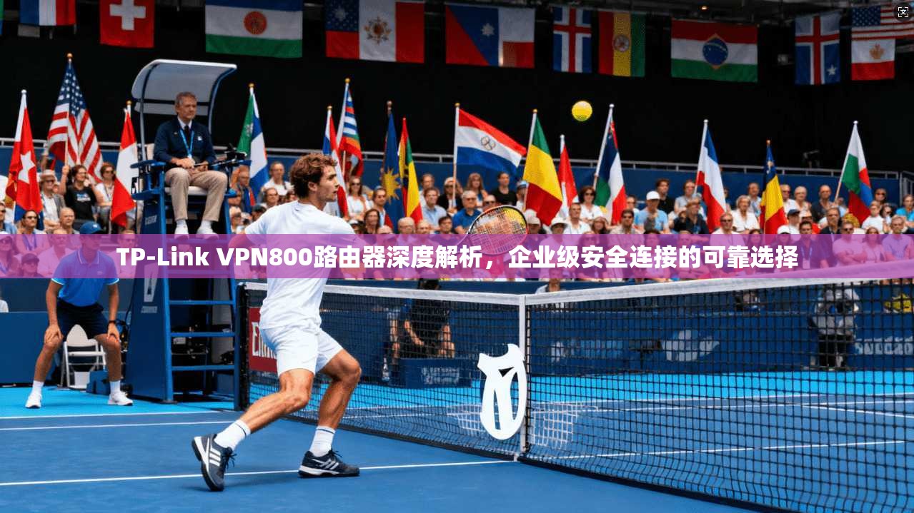 TP-Link VPN800路由器深度解析，企业级安全连接的可靠选择