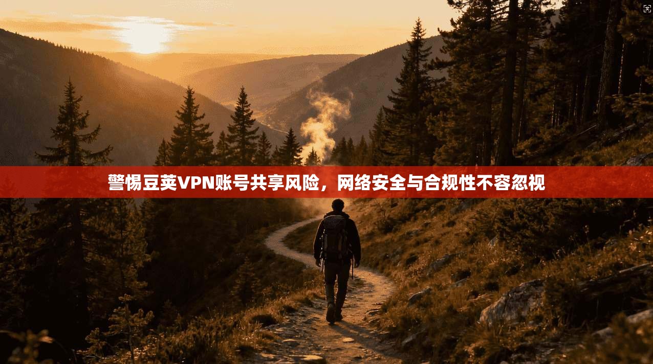 警惕豆荚VPN账号共享风险，网络安全与合规性不容忽视
