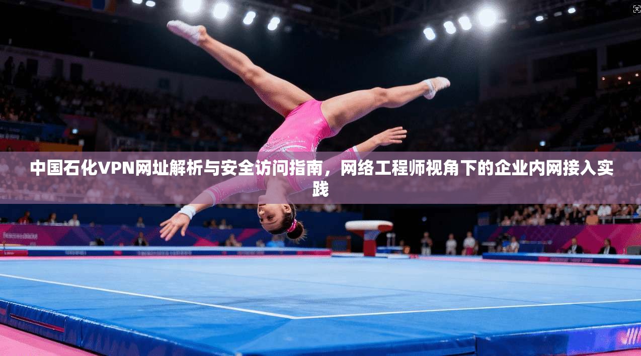 中国石化VPN网址解析与安全访问指南，网络工程师视角下的企业内网接入实践