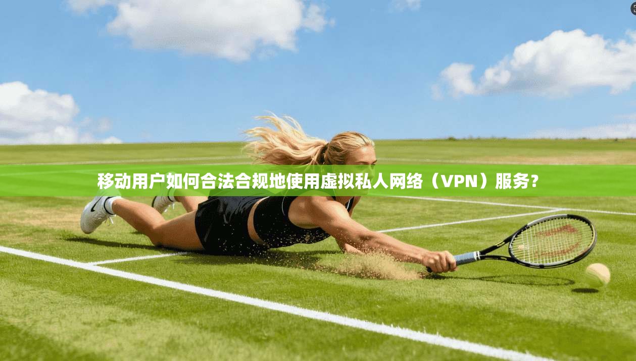 移动用户如何合法合规地使用虚拟私人网络（VPN）服务？