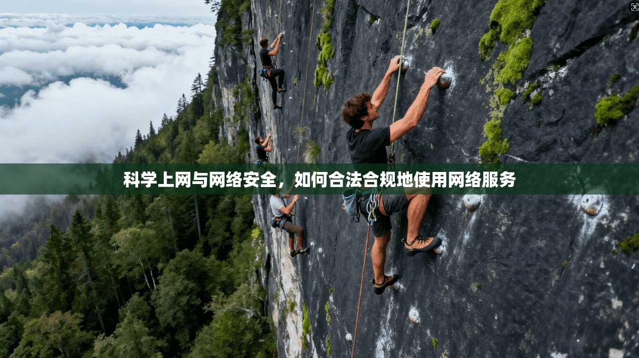 科学上网与网络安全，如何合法合规地使用网络服务