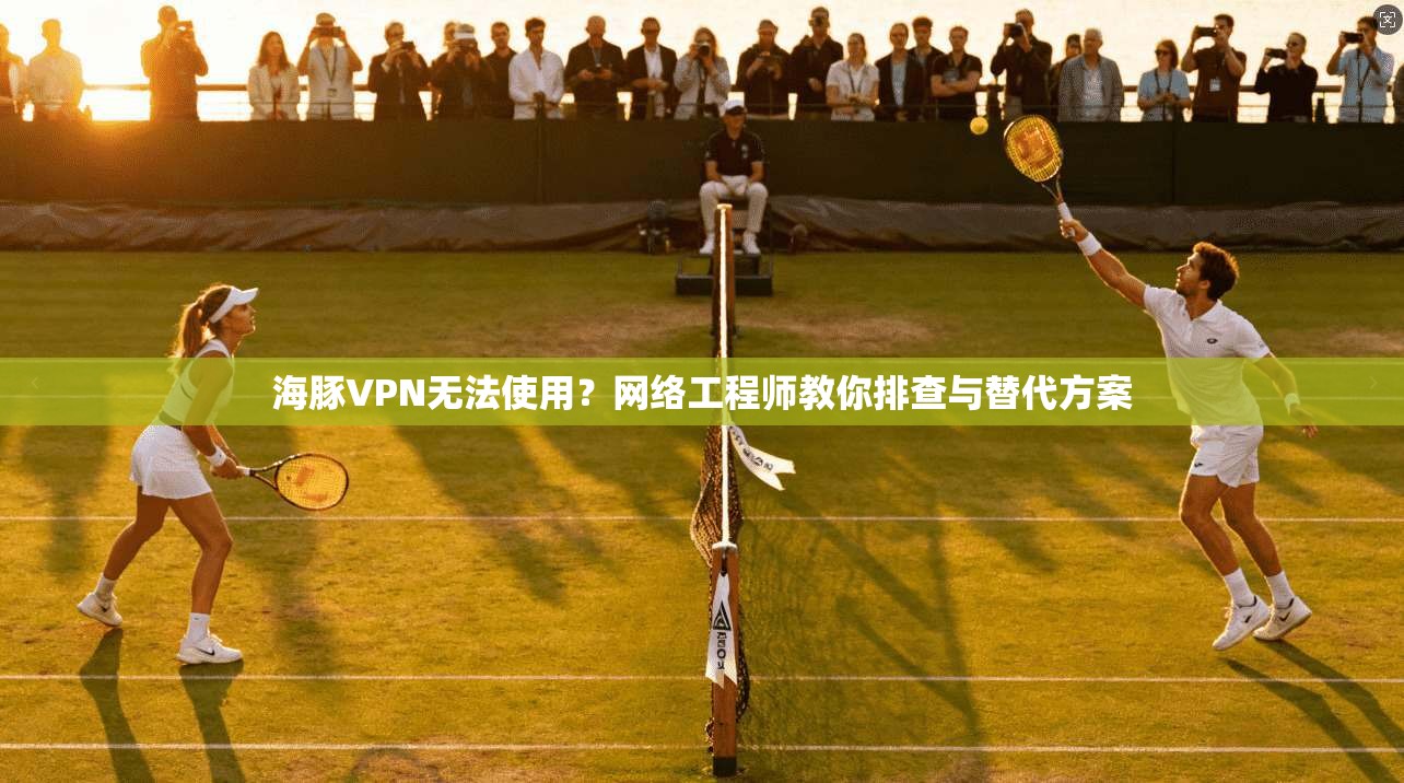 海豚VPN无法使用？网络工程师教你排查与替代方案