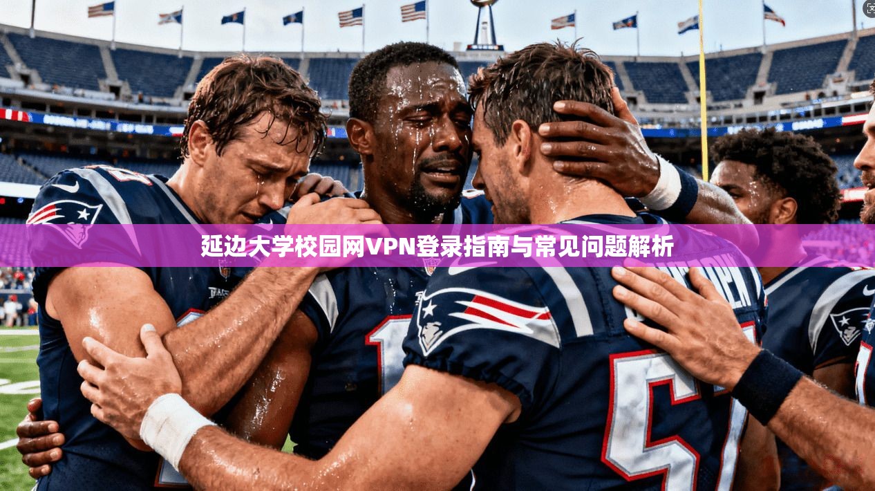 延边大学校园网VPN登录指南与常见问题解析