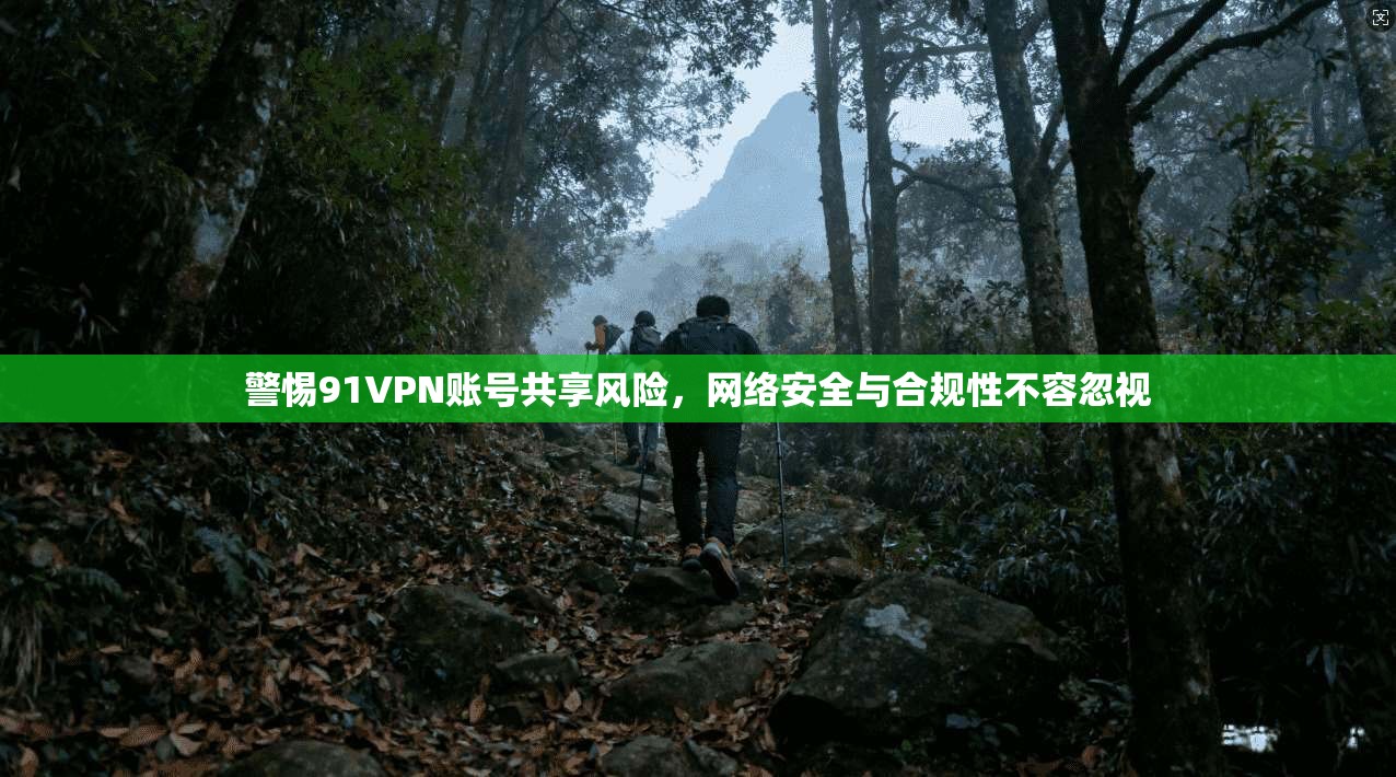 警惕91VPN账号共享风险，网络安全与合规性不容忽视
