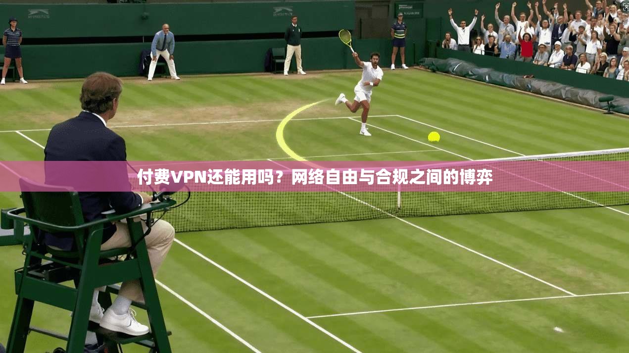 付费VPN还能用吗？网络自由与合规之间的博弈