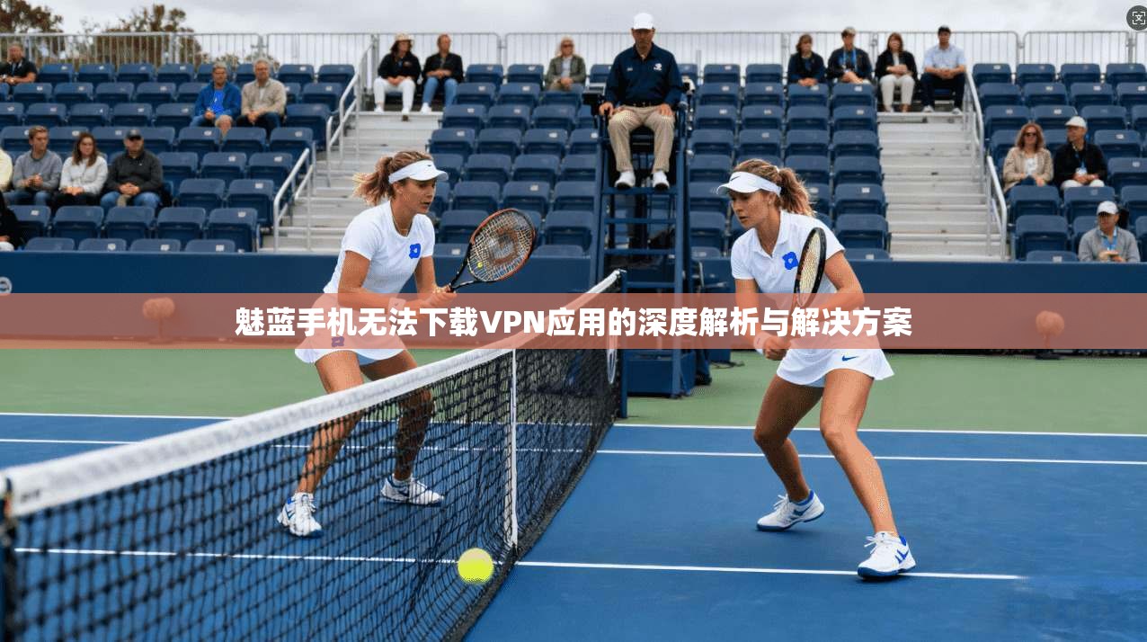 魅蓝手机无法下载VPN应用的深度解析与解决方案