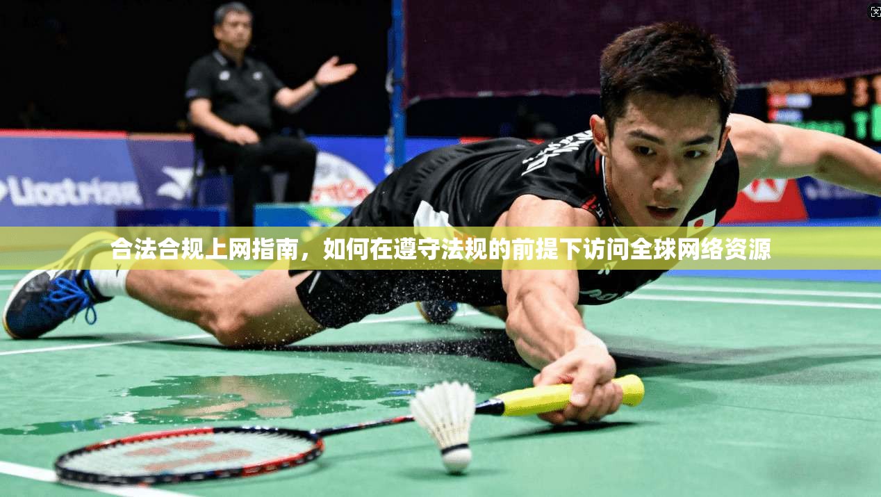 合法合规上网指南，如何在遵守法规的前提下访问全球网络资源