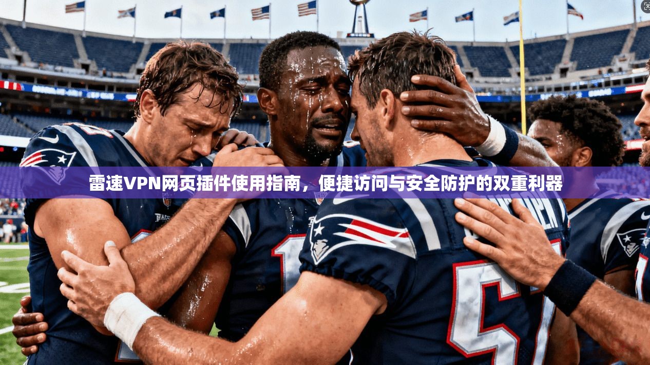雷速VPN网页插件使用指南，便捷访问与安全防护的双重利器