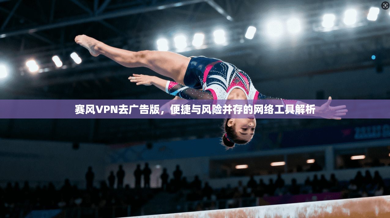 赛风VPN去广告版，便捷与风险并存的网络工具解析