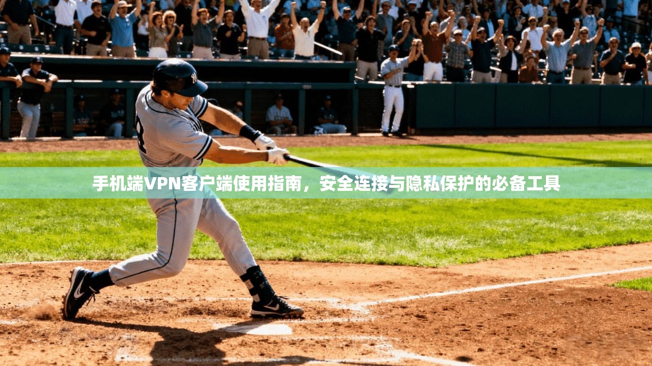 手机端VPN客户端使用指南，安全连接与隐私保护的必备工具