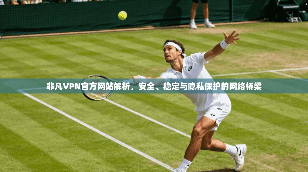 非凡VPN官方网站解析，安全、稳定与隐私保护的网络桥梁